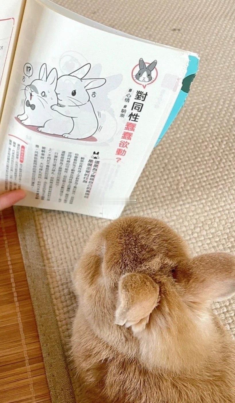 想想我们程秀初恋可是邵群那款矜贵小公子程秀眼光真好