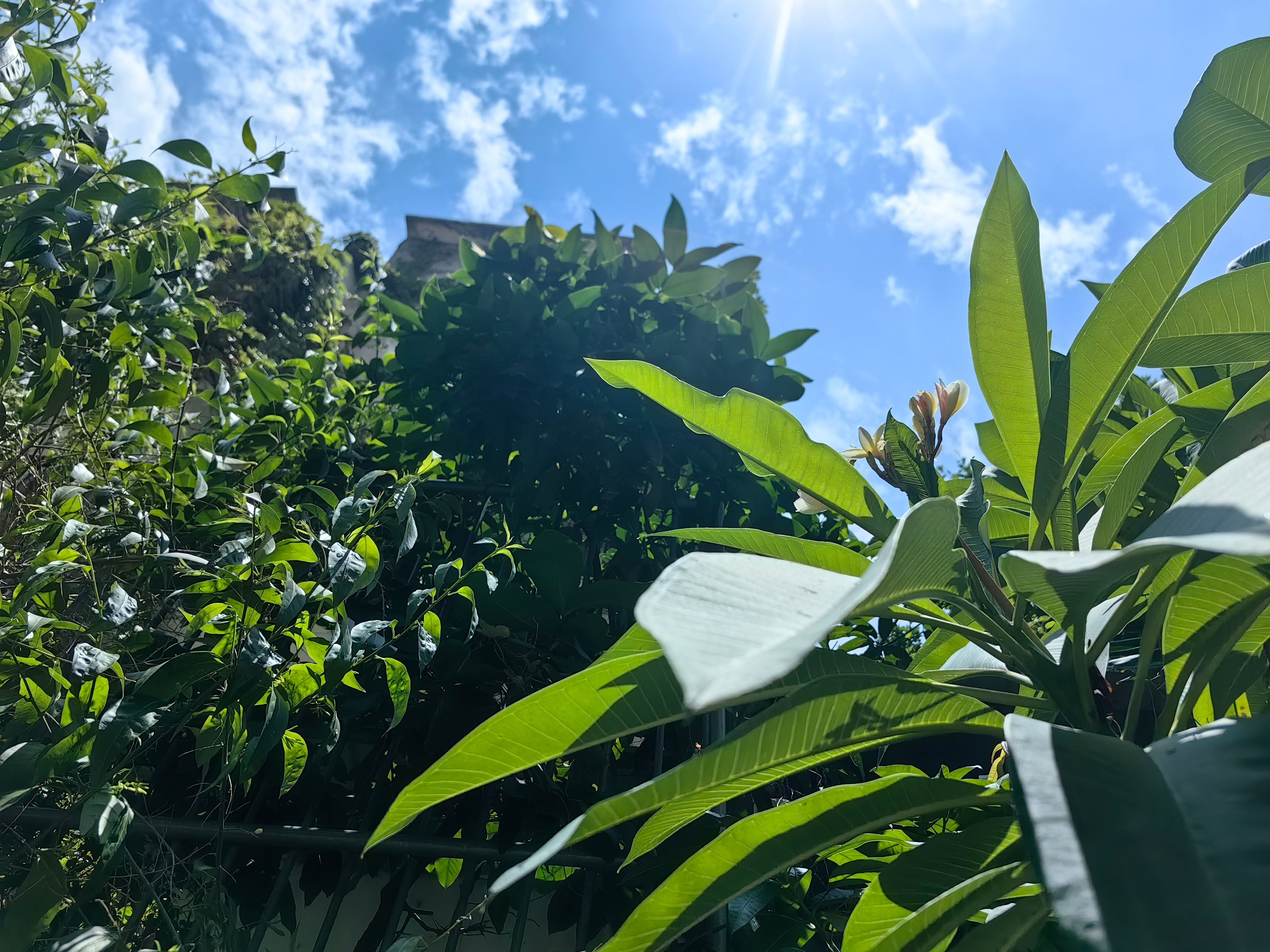 夏日炎热，注意防暑。 