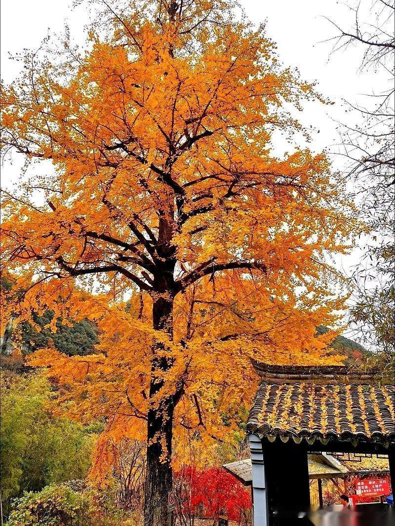 一个90岁的老太太，一句话把养老的遮羞布给扯了。

她说，别听人瞎扯，说什么老了