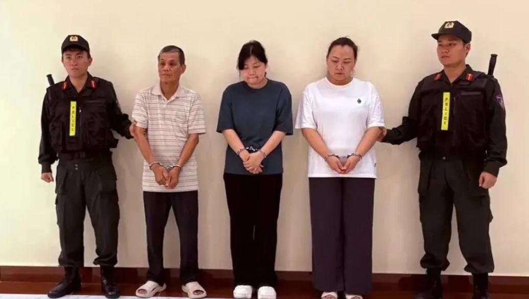 一家三口联手操作，将中国生产的电力设备伪装成加拿大产品，连续三年混入越南电力招标