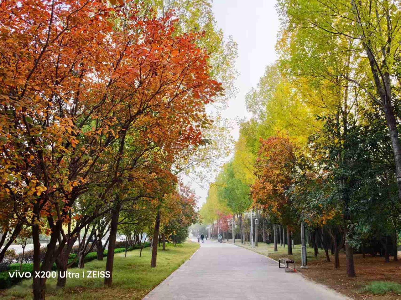 我的今日状态：🏃‍➡️运动
我这里的天气：☀️晴天

一大早来到了河北邢台的达