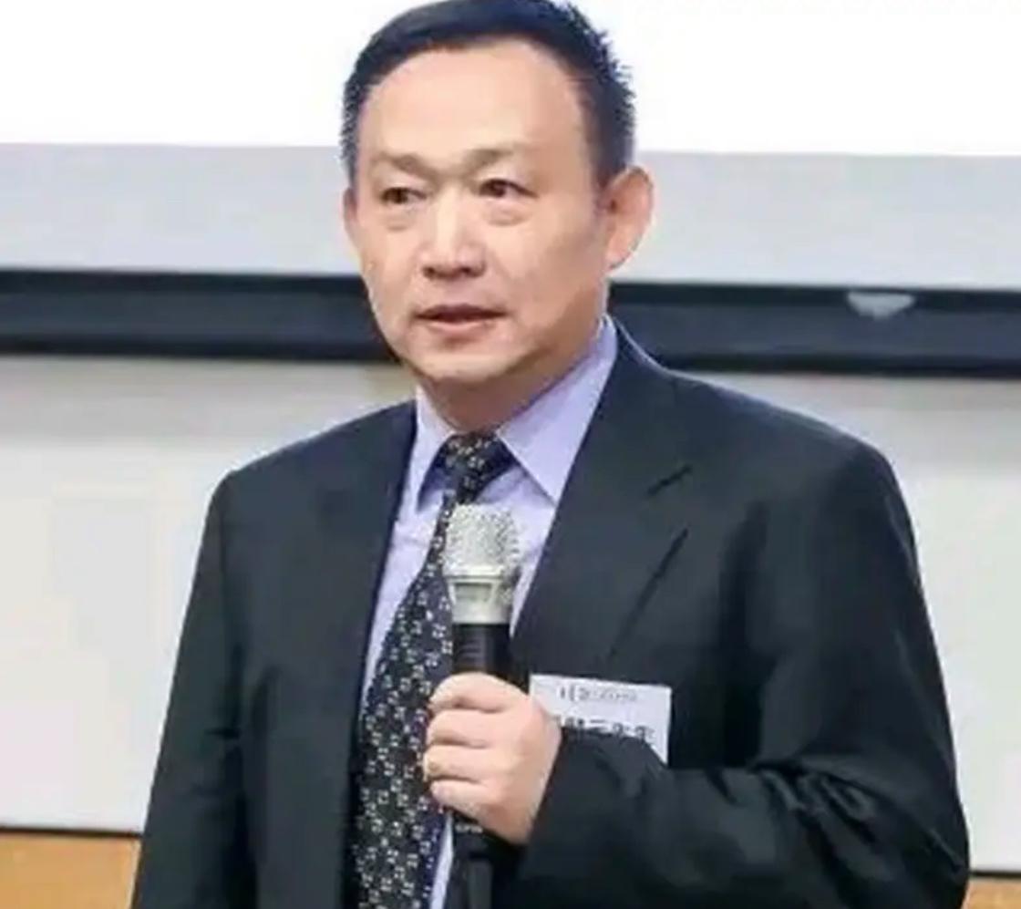 卢麒元说：有人喜欢“卖资产”，却不敢明目张胆地“卖资产”，只好打着“高水平开放”