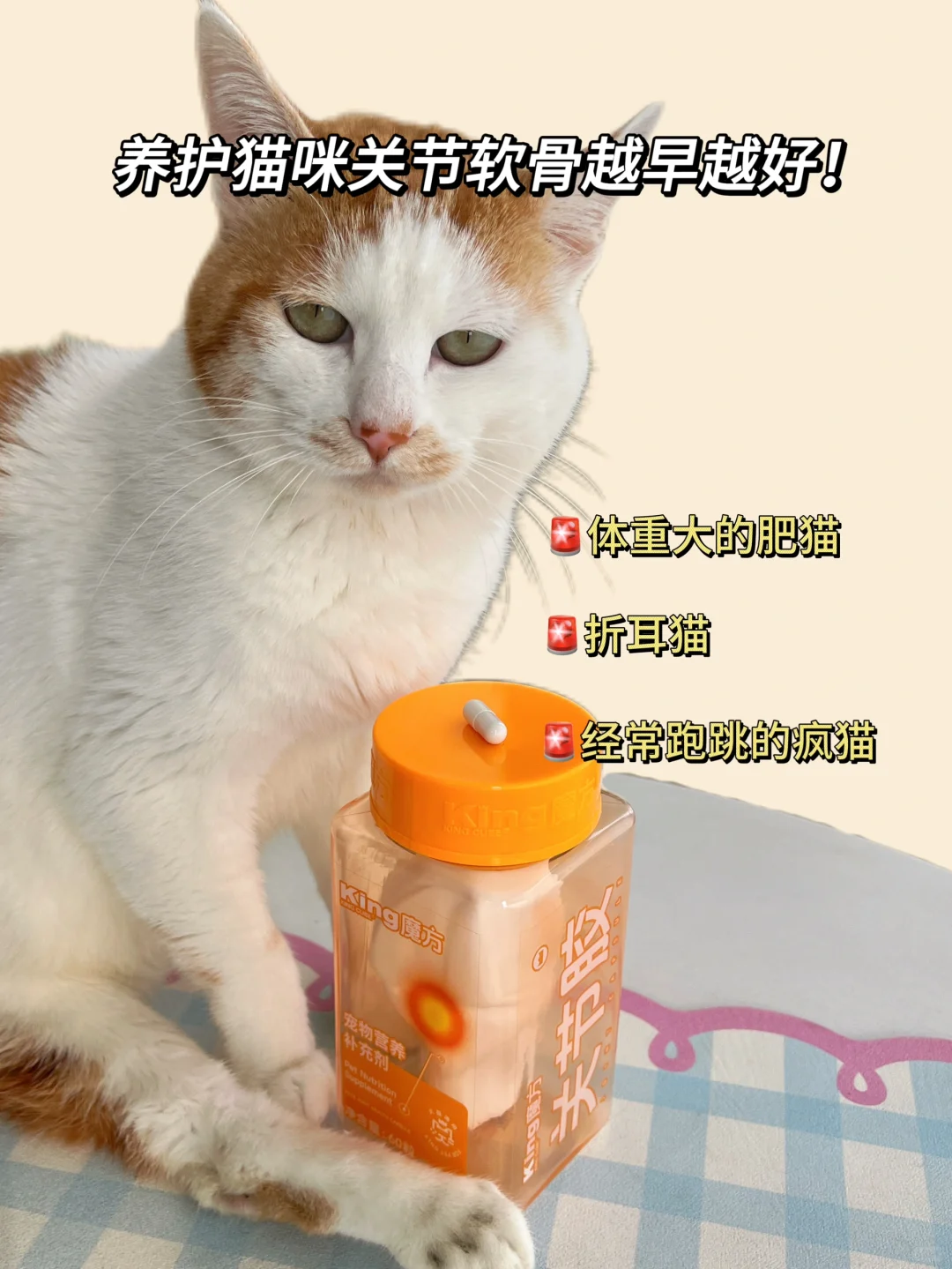 建议所有小猫越早补充软骨素越好！