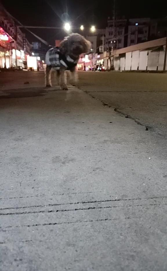 if you want to go，you want to go。