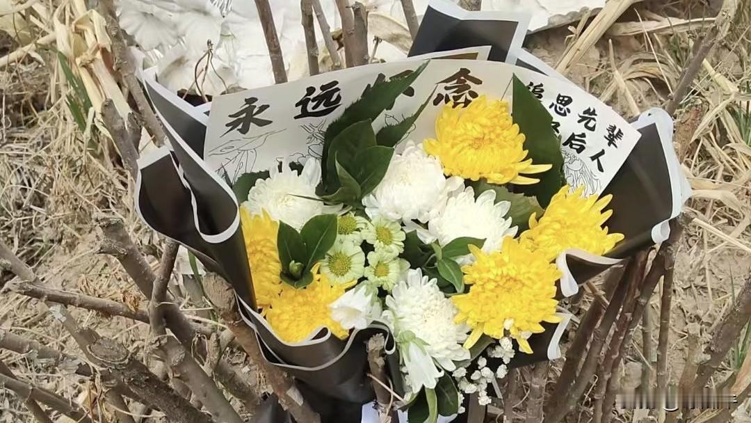 清明上坟，听到最感人的话！
为什么清明节要上坟，古人讲：树高千尺不忘根，人行千里