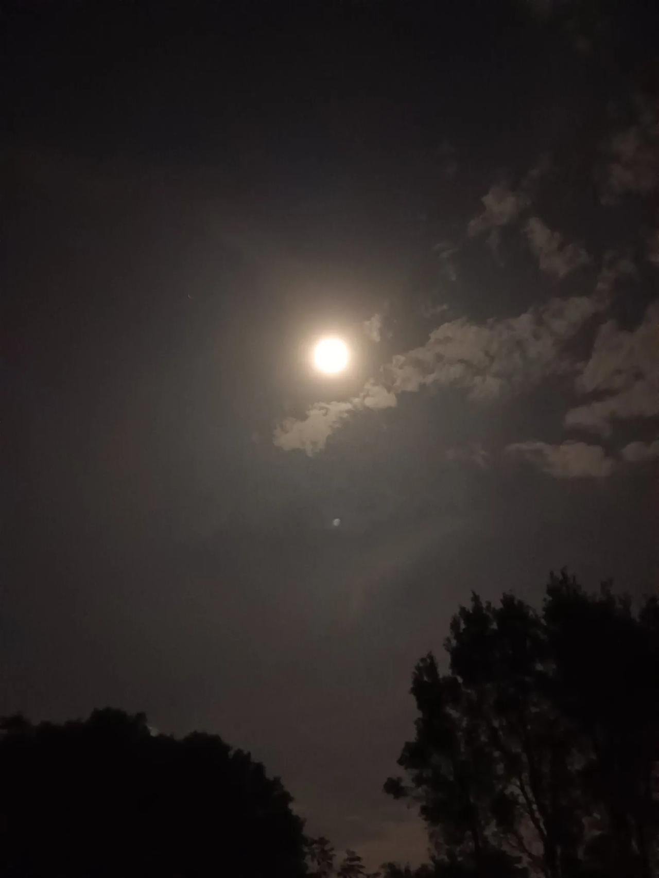 《相思入骨》
 相思入骨夜难眠，独倚轩窗望月圆。
风拂幽帘情脉脉，泪沾素帕意绵绵
