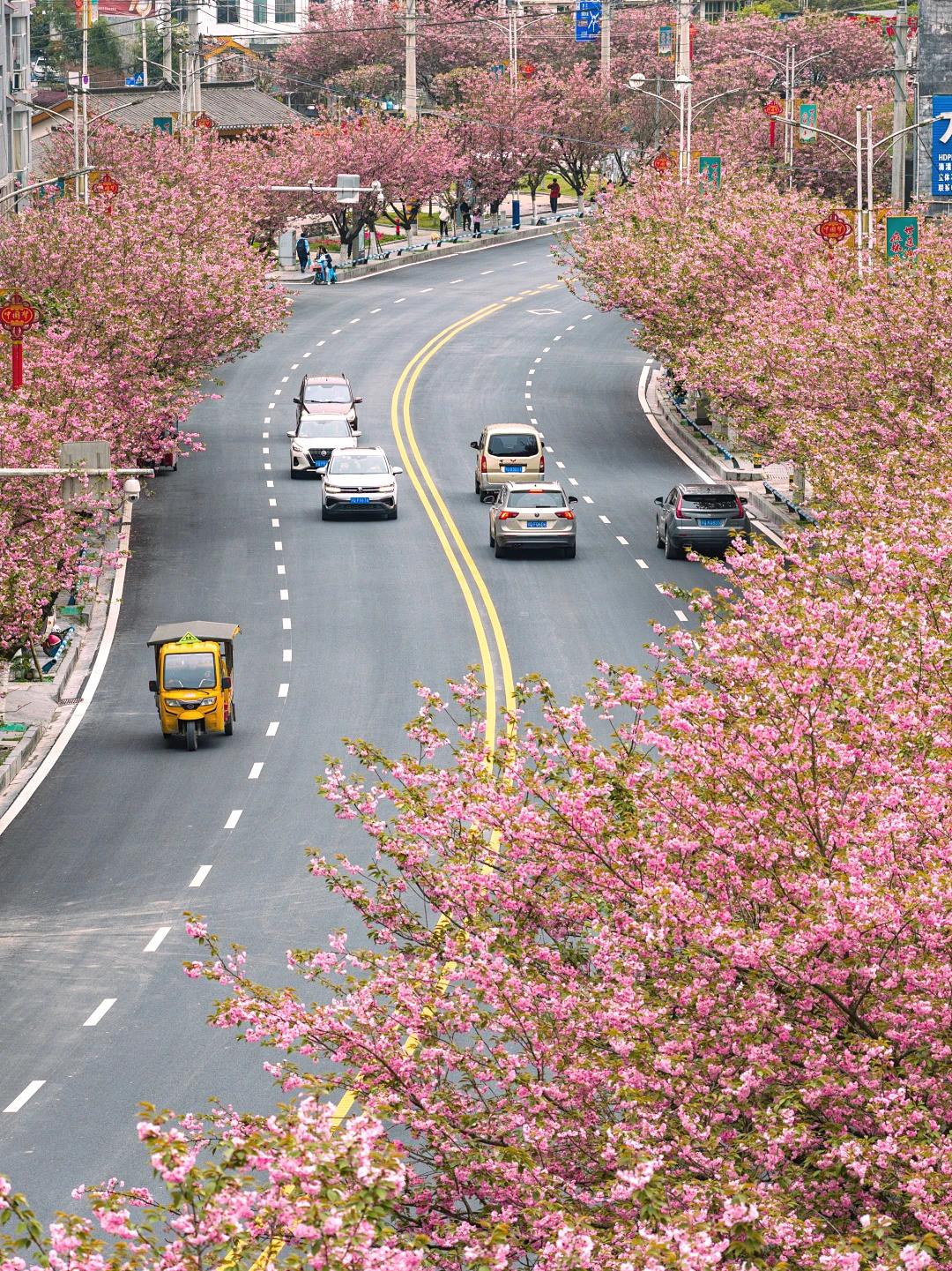 【人生因选择而精彩，跟着走的幸福人生】
        人生因选择而精彩，这话一