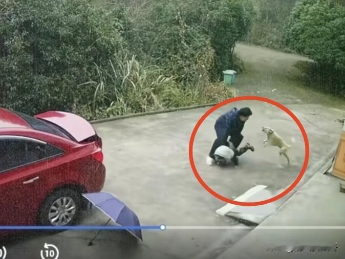 一网友发视频称，自己儿子在老家外出玩耍回来，遭到邻居家的狗疯狂追赶并撕咬，最后被