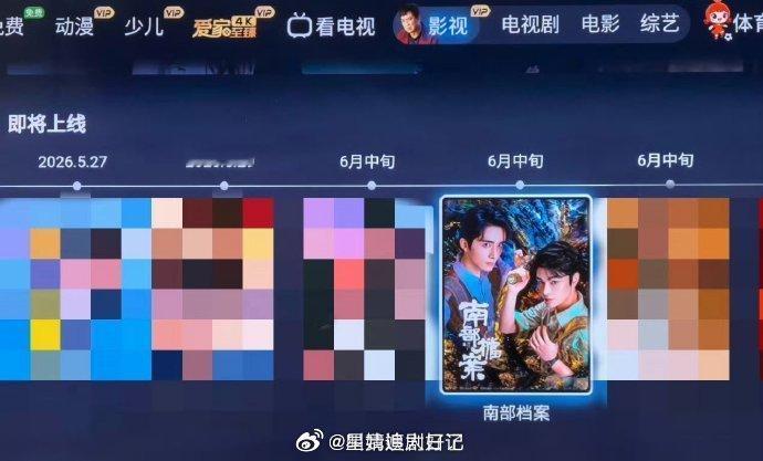 张新成、丁禹兮的南部档案六月中旬要抬了，大家看好这部剧吗？ 