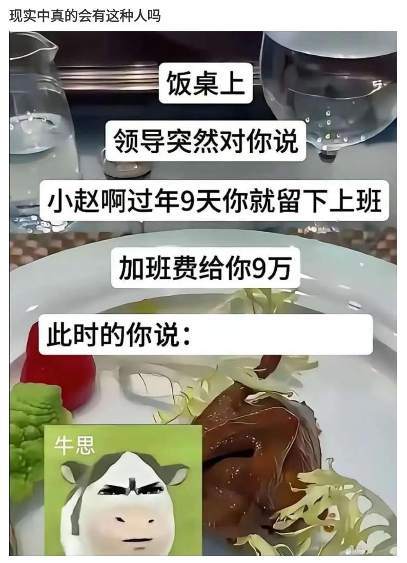 假如领导对你说：“你只要过年9天留下来加班，就给你9万加班费。”
此时的你会如何