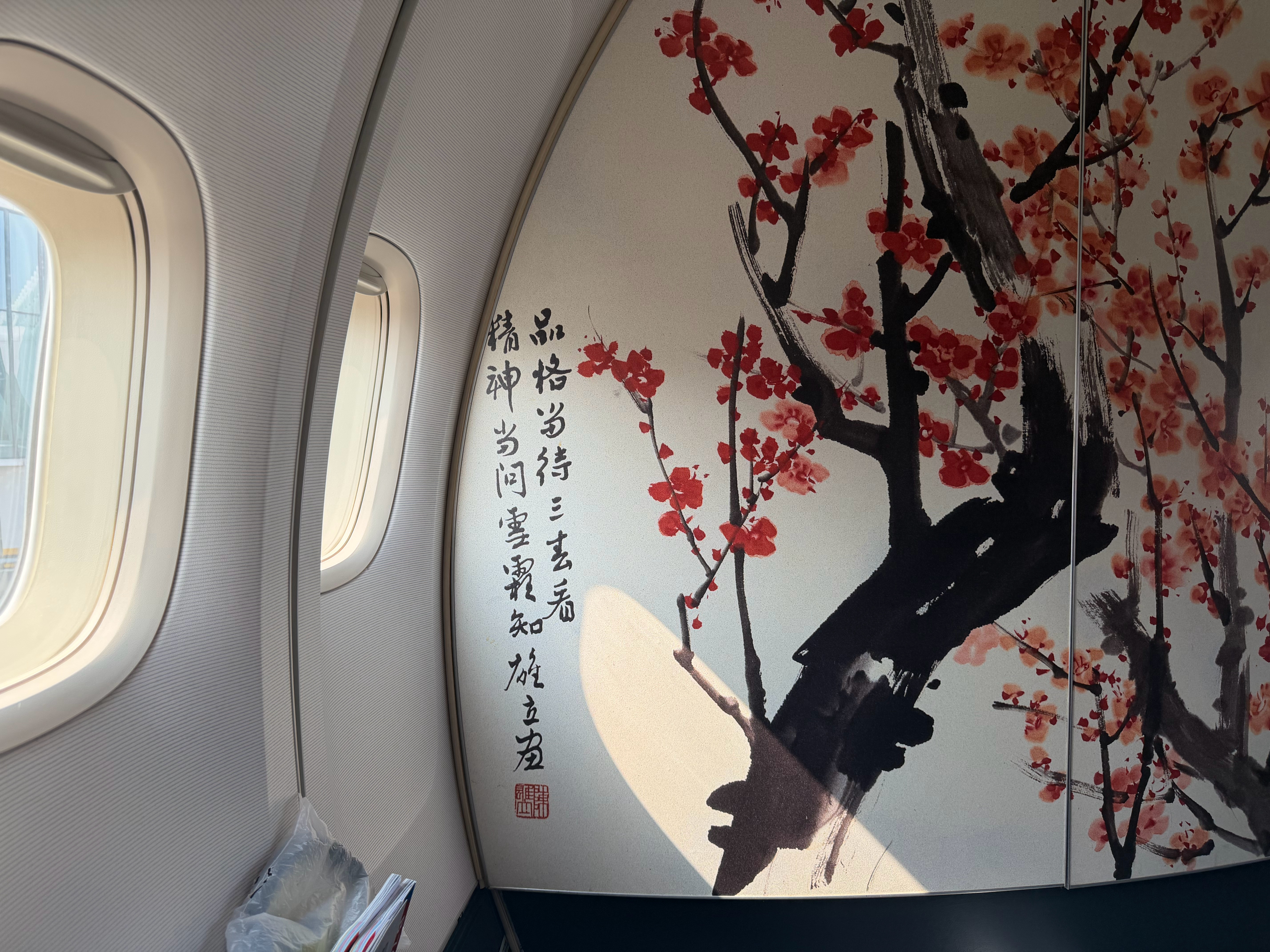 2026年的第一次极限登机，12:50开始登机，一点才到机场，因为堵车，司机把我