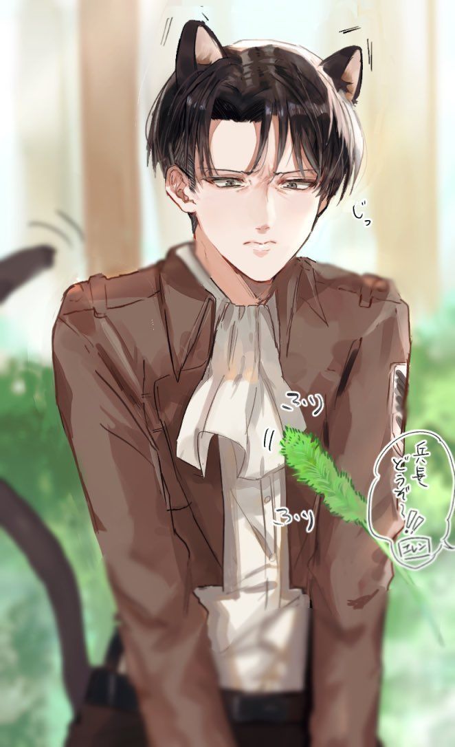 1719逗一下猫 
