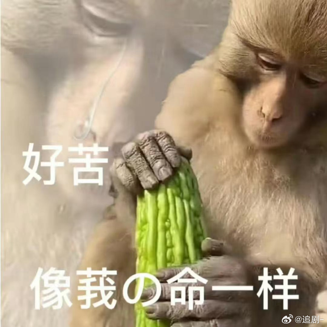 最尊重猴的剧组出现了年会2的喜剧创意层出不穷，猴子沉浸式上班的桥段全场爆笑，彩蛋