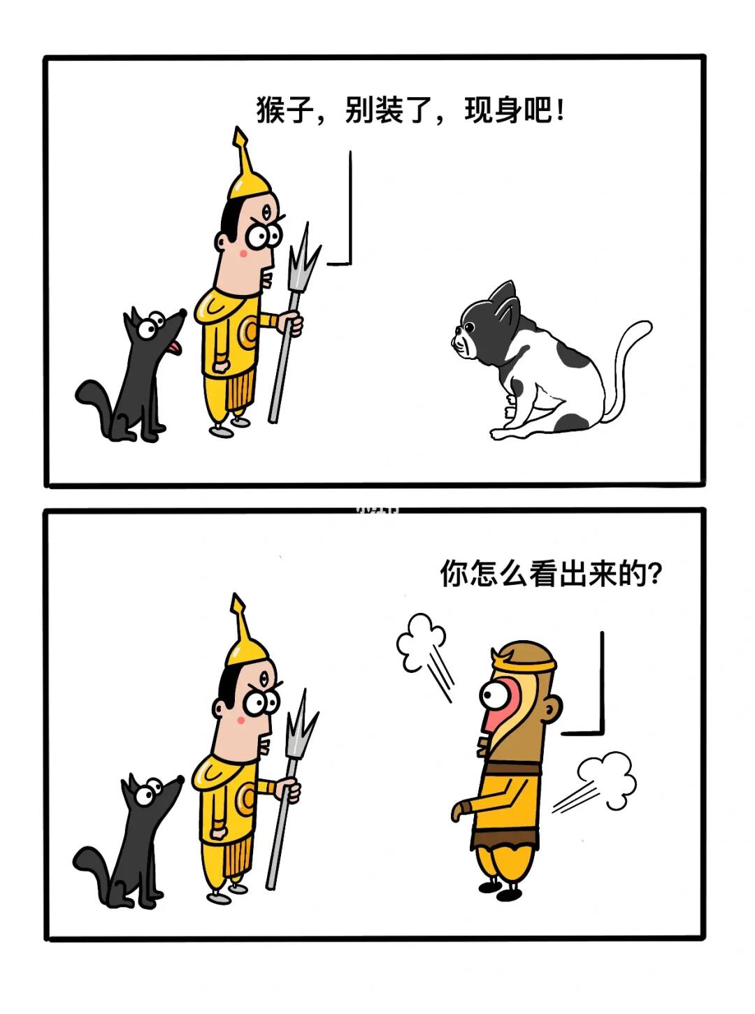 猴子，我又看穿你了！