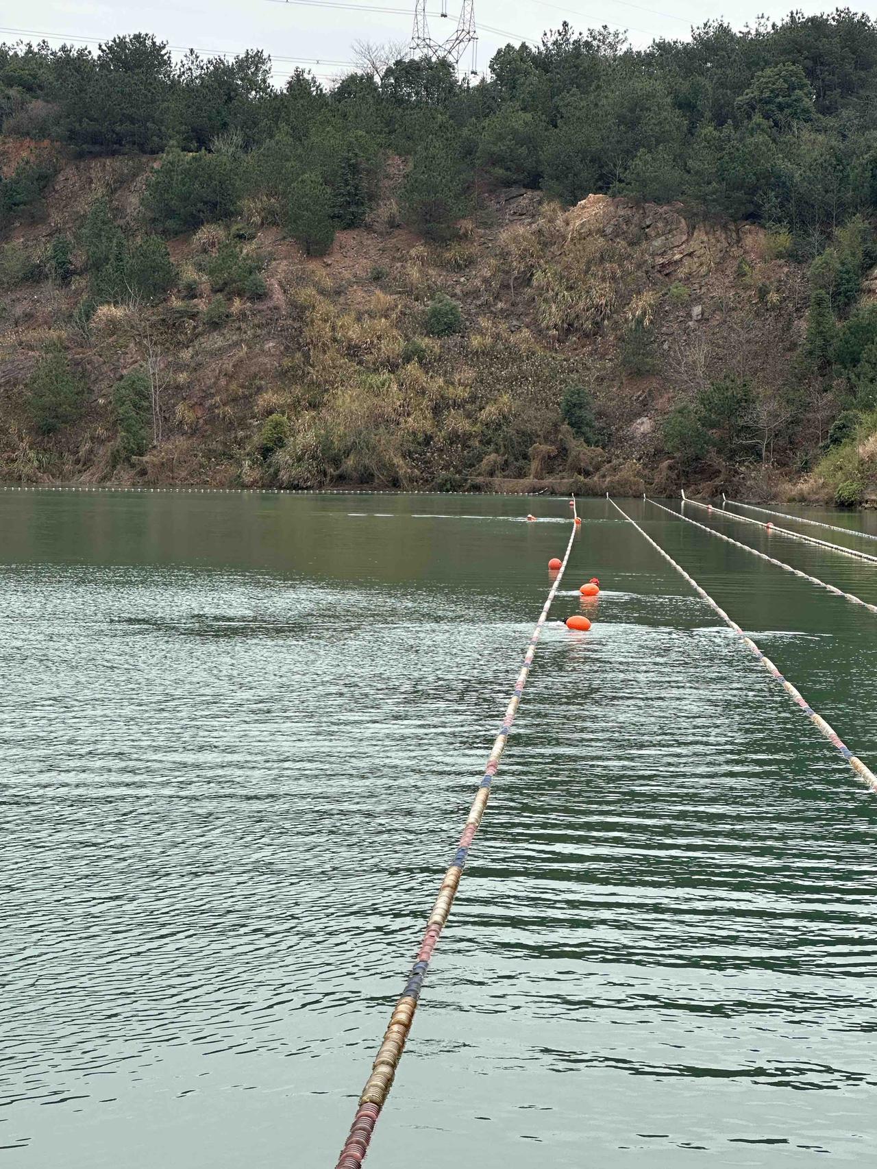 冬至后数九的水，是真的冷得冻骨头！
今天阴沉沉的，气温10℃，冬泳基地的水温直接