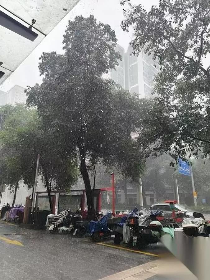 老公一句话

戳中我痛点

他居然说我不配当妈？

还是从婆婆那传过来的话，说我