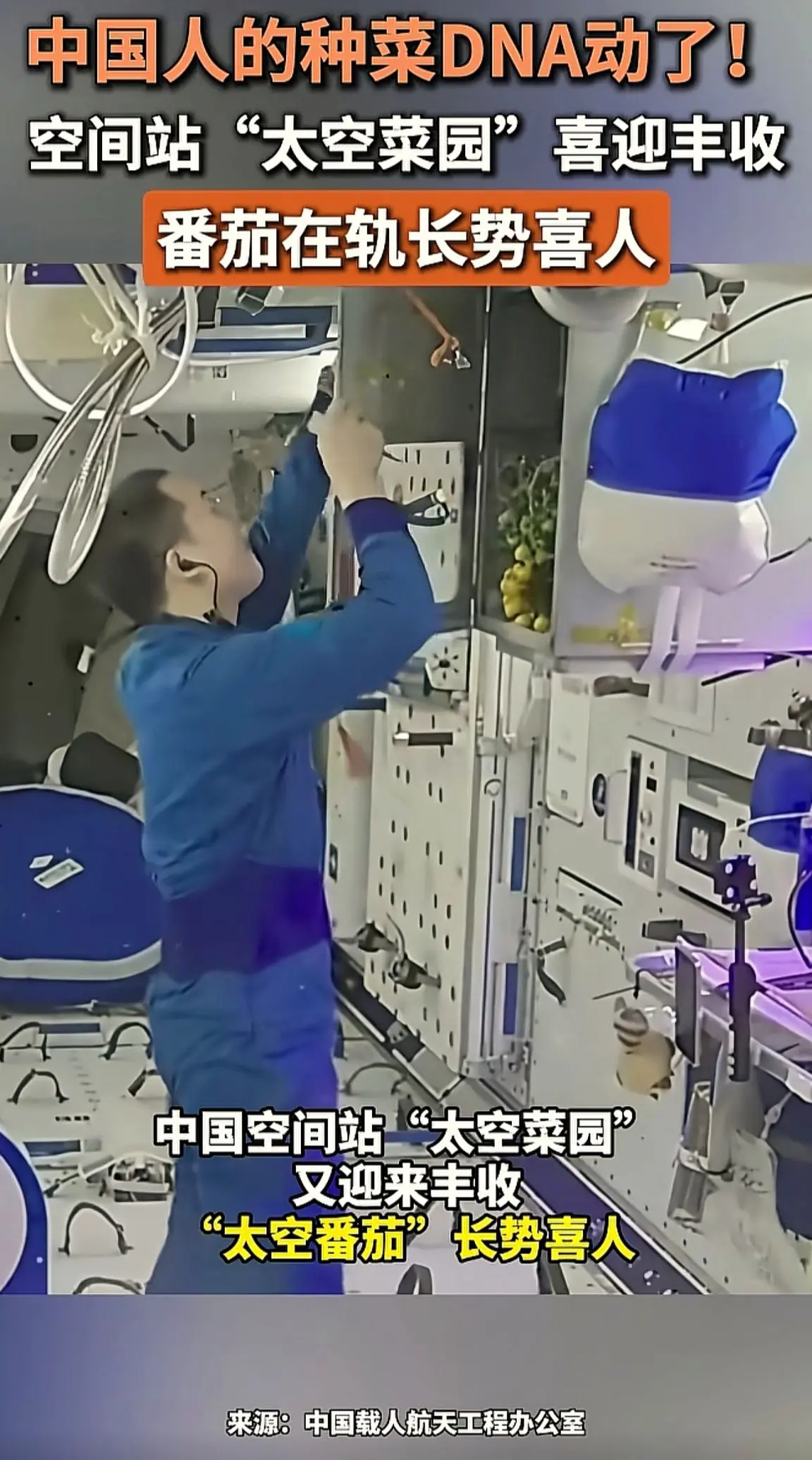 消息来源于网络