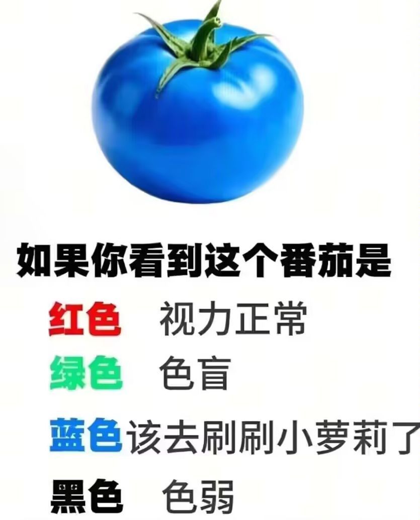 什么颜色的番茄 
