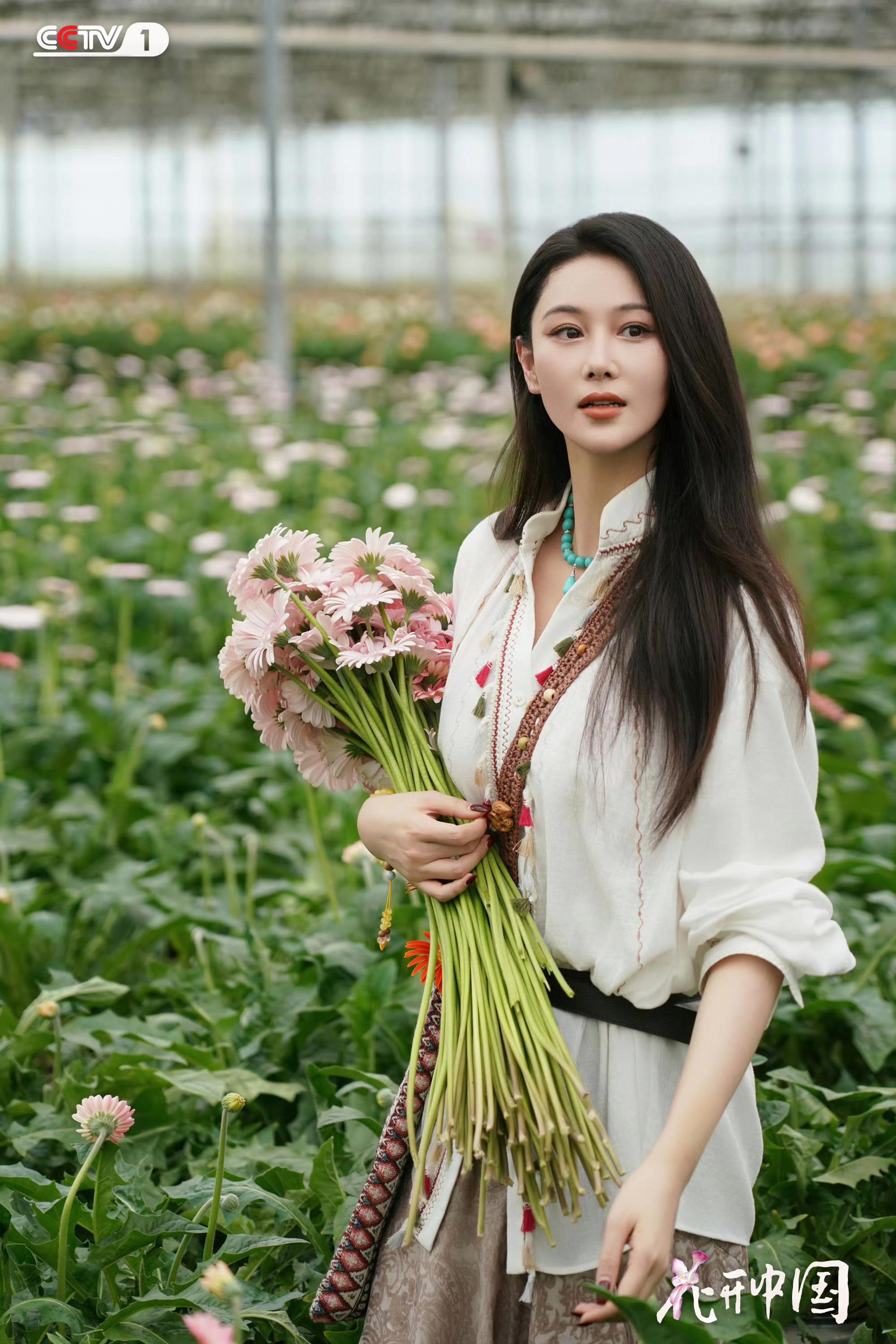 张馨予｜CCTV-1花开中国。又一波美照