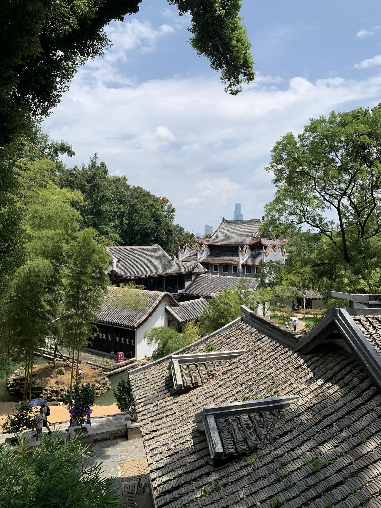 眼下正是舒服的日子，花开得热闹，风也吹得温柔，没有急风骤雨，也没有刺骨寒凉，这样
