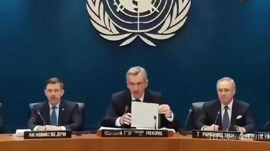 中国行使二战战胜国权利，法理根基硬到没话说，全靠《波茨坦公告》第八条和《联合国宪