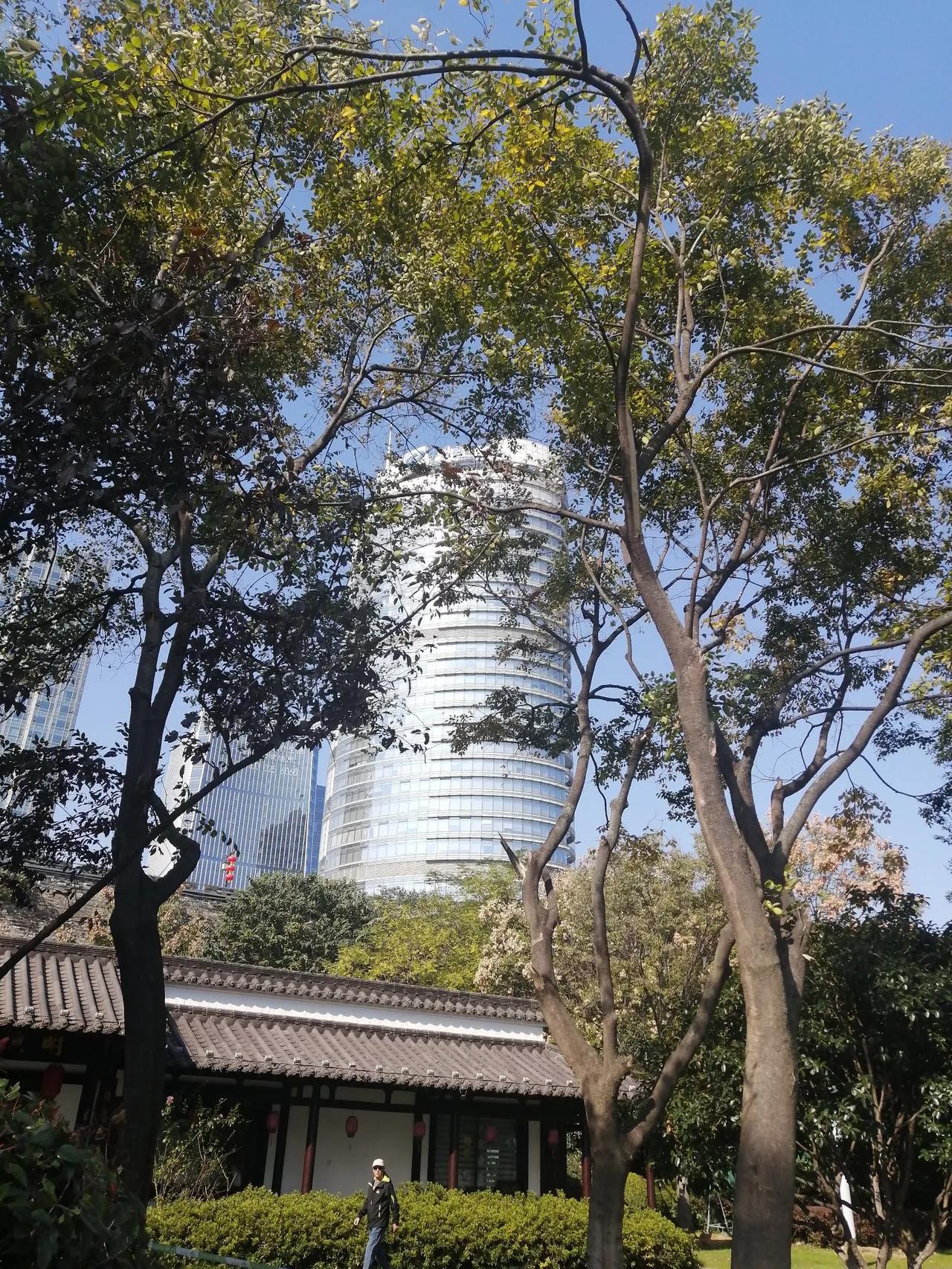 深秋的南京皇家园林，玄武湖公园风景秀丽，气候宜人。