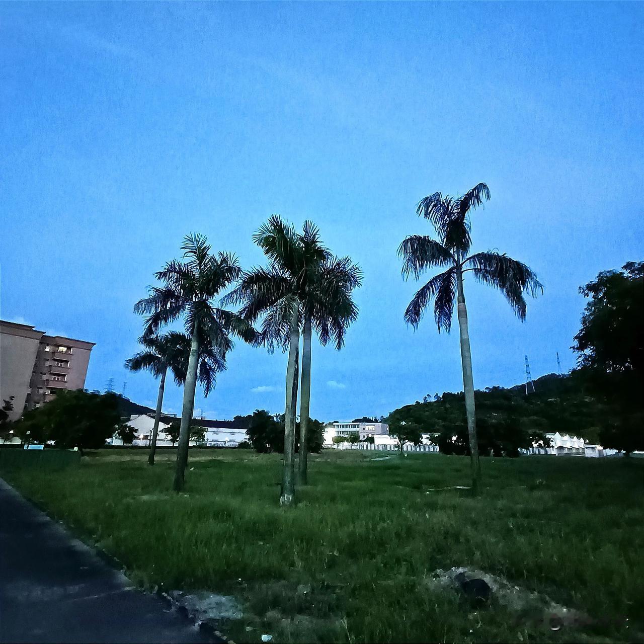 #上联：海阔凭鱼跃，求下联#
海阔凭鱼跃
天高任鸟飞
#天南地北求上联# #秀出