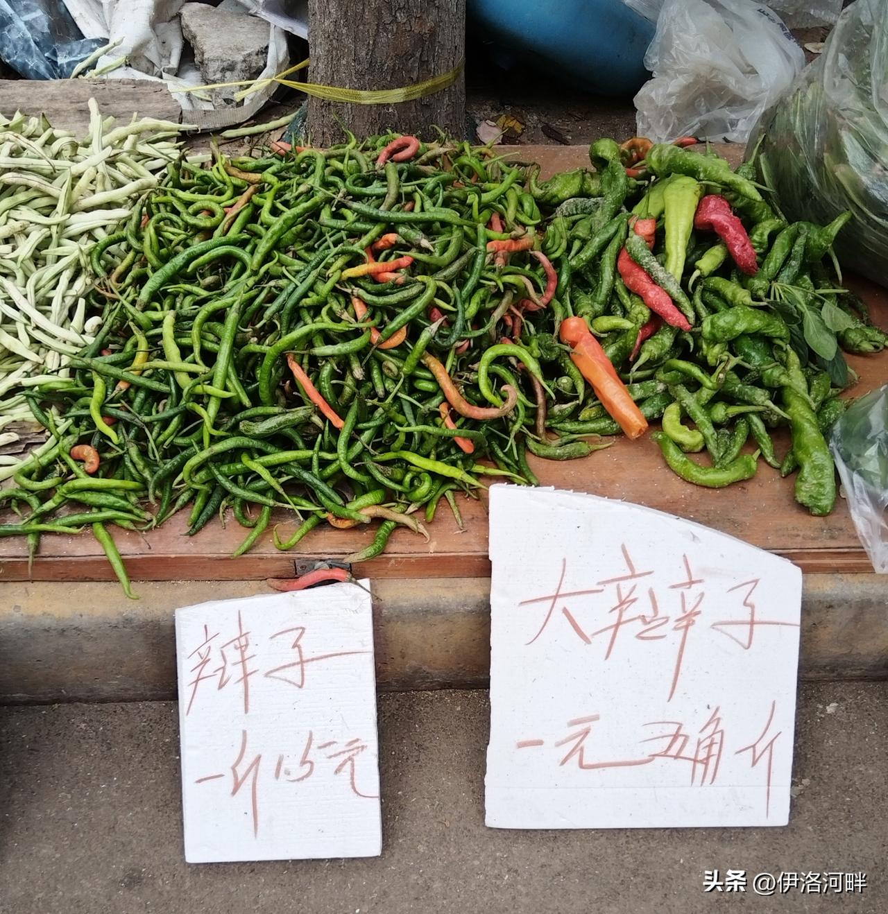 猛一看是辣子
仔细瞧是辩子
琢磨一下还是辣子[大笑]