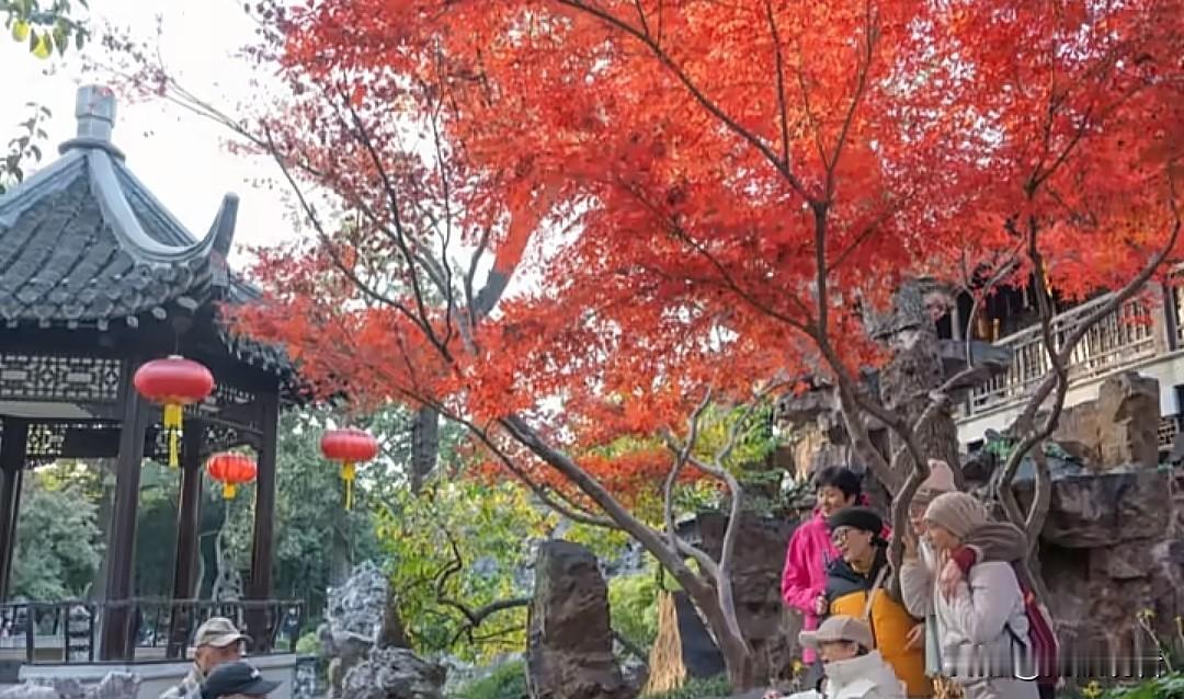 水韵江苏赏秋地图官宣！扬州4地美到窒息🍂
 
江苏省文旅厅直接把秋日浪漫焊死了