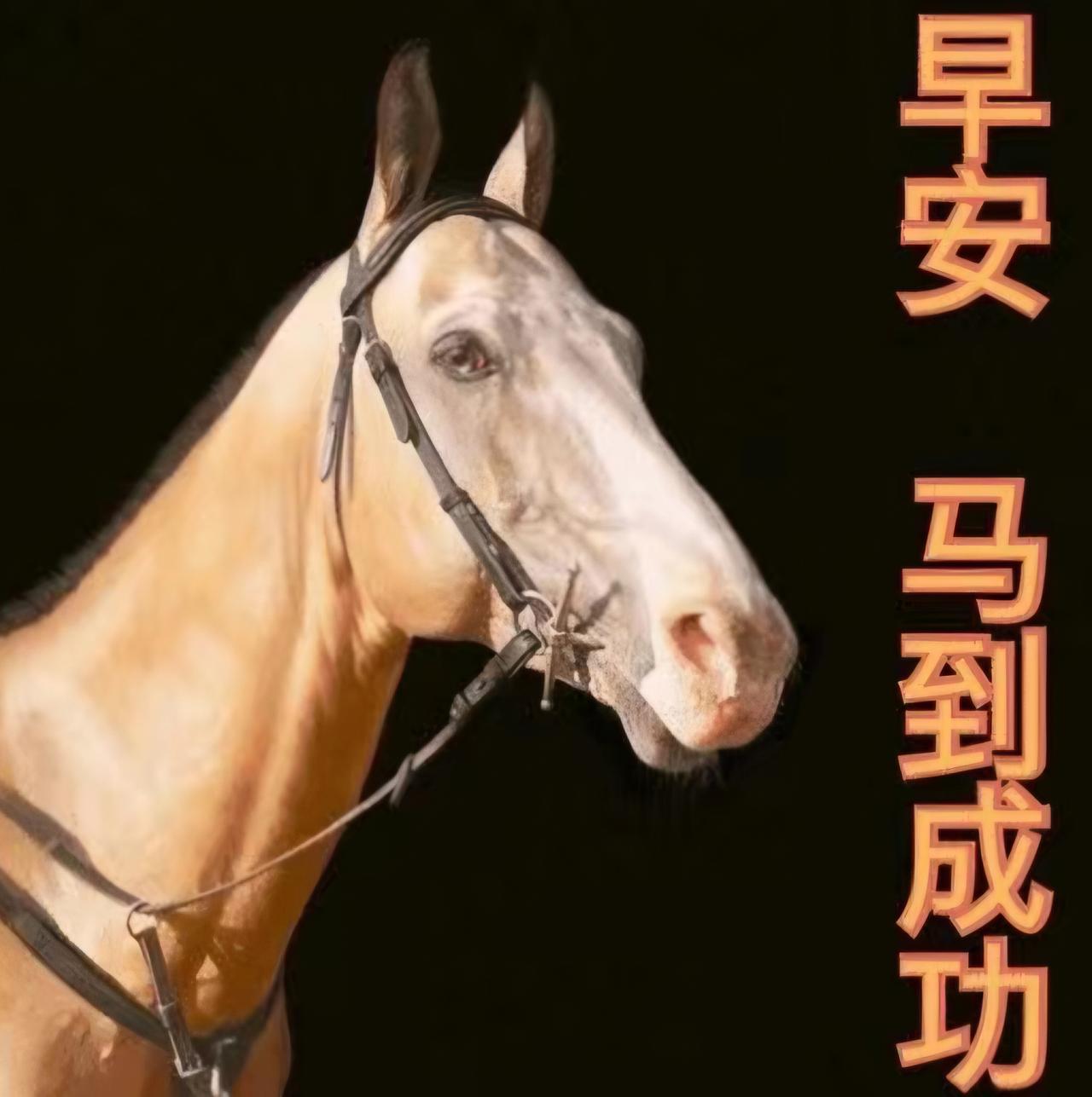 大年初六，
六六大顺！
愿您心意顺、
前程顺，一顺百顺；
现在顺、将来顺，一帆风