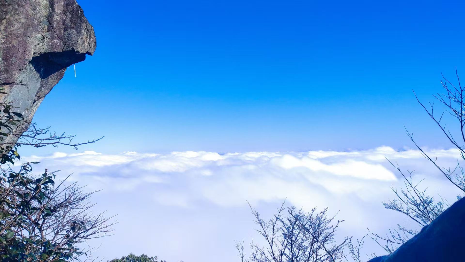 都来云吃范 云朵☁️棉花糖限时开放先到先得你要哪一串 