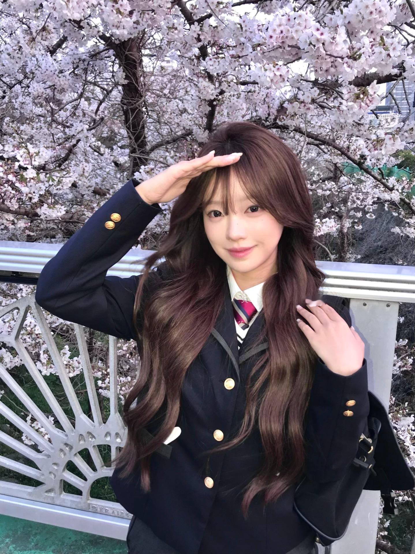 벚꽃🌸！济州岛怎么老是阴天 