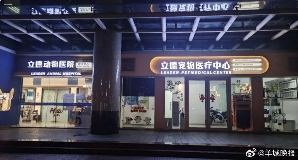 【#广州立德宠物医院被查实多项违规#】#广州一宠物医院存多项违规操作#羊城晚报此