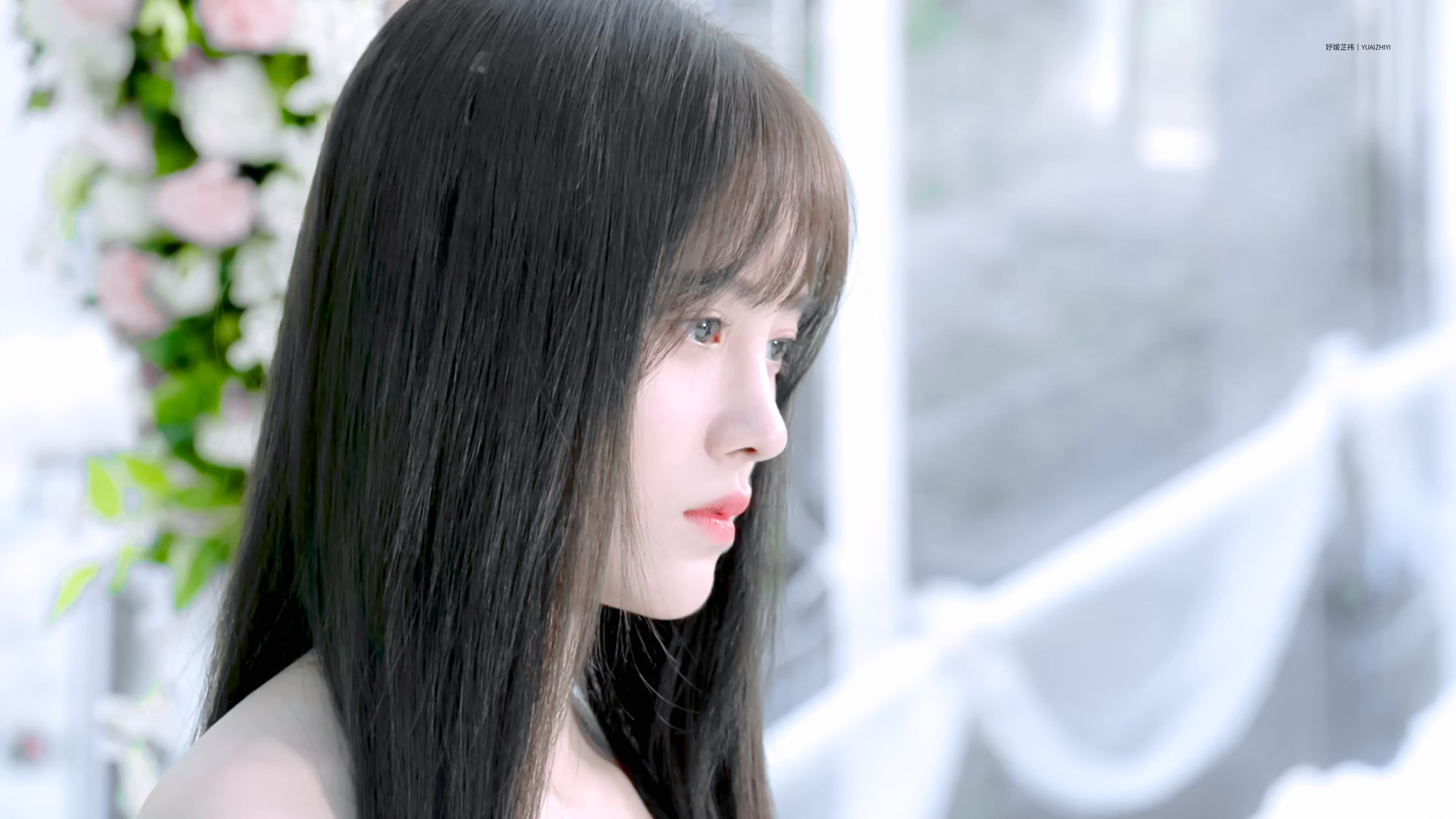 宋茶茶🍃🐰 