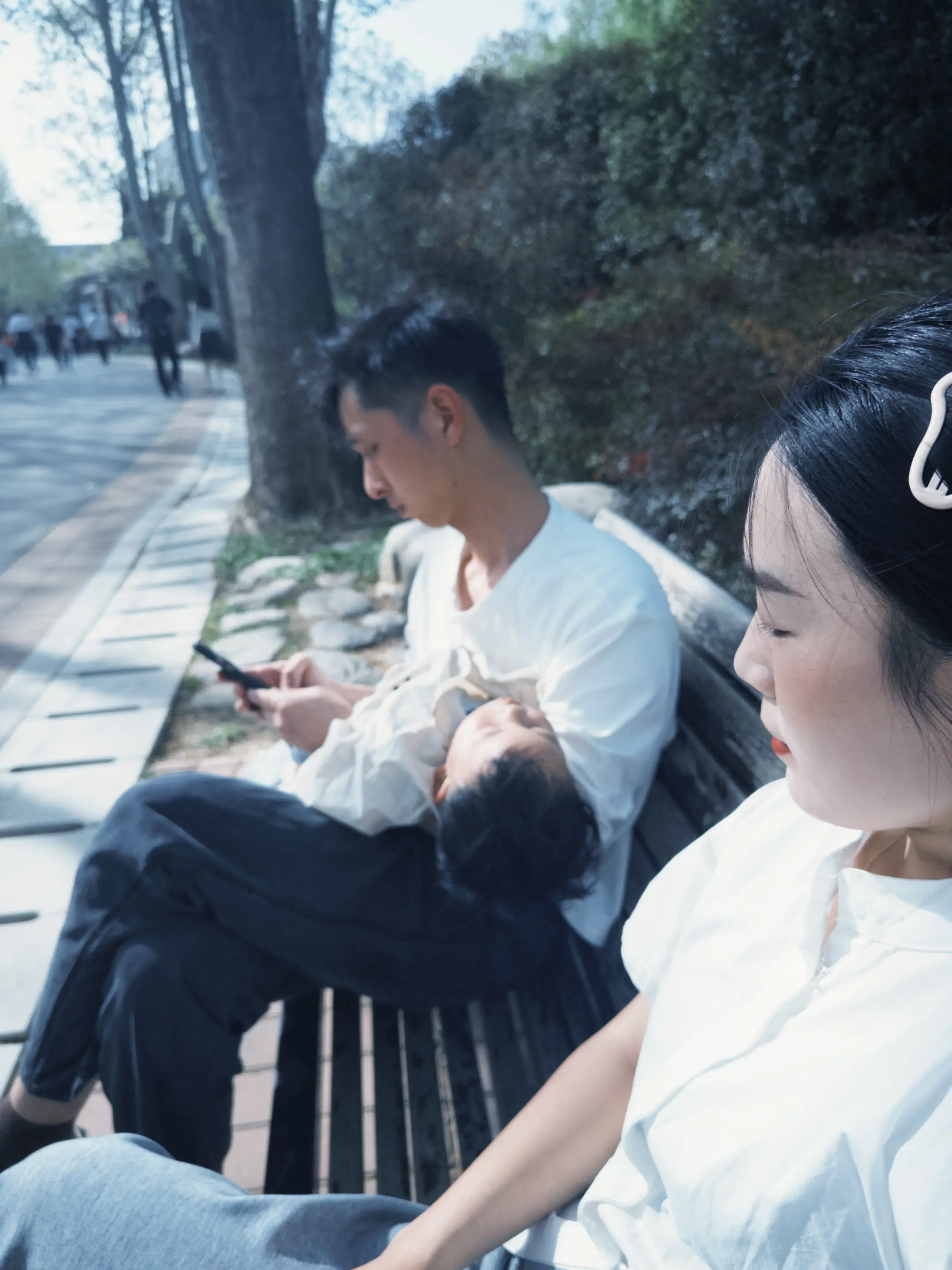 公园，晴天，我们