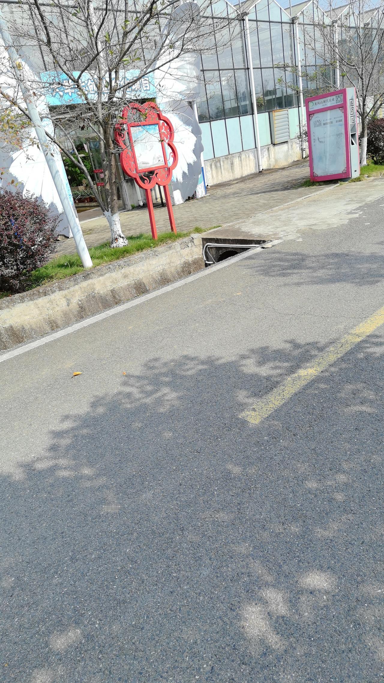 要把农业产业园办下去，有几个关键要点。
首先得科学规划、精准定位。立足当地资源和