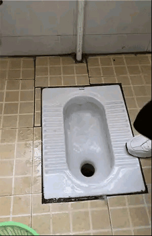 这才是冲厕里的天花板，冲个水还能把澡洗了[捂脸]