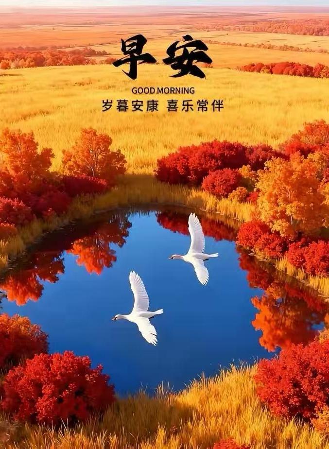 盼望寒冬不冷，
希望出門平安，
渴望幸福安康，
祈望快樂吉祥，
祝願大家無恙。