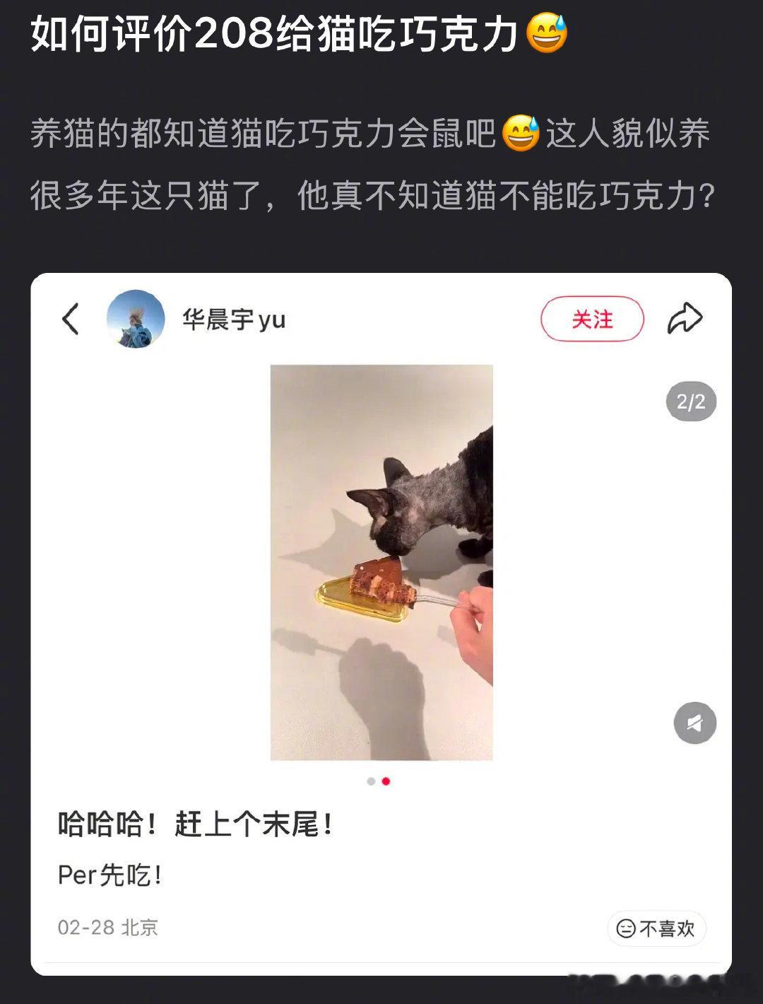 华晨宇给猫吃巧克力华晨宇喂猫吃巧克力华晨宇给猫吃巧克力 
