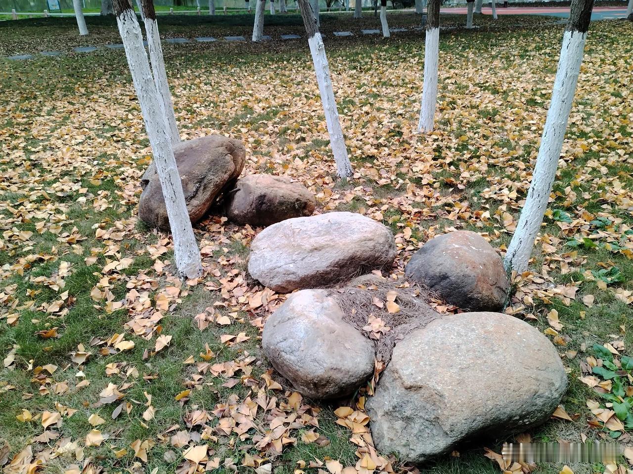 江南的秋冬，天空仿佛被洗过，澄澈而清冷，阳光透过淡薄的云层洒下，给大地披上一层柔