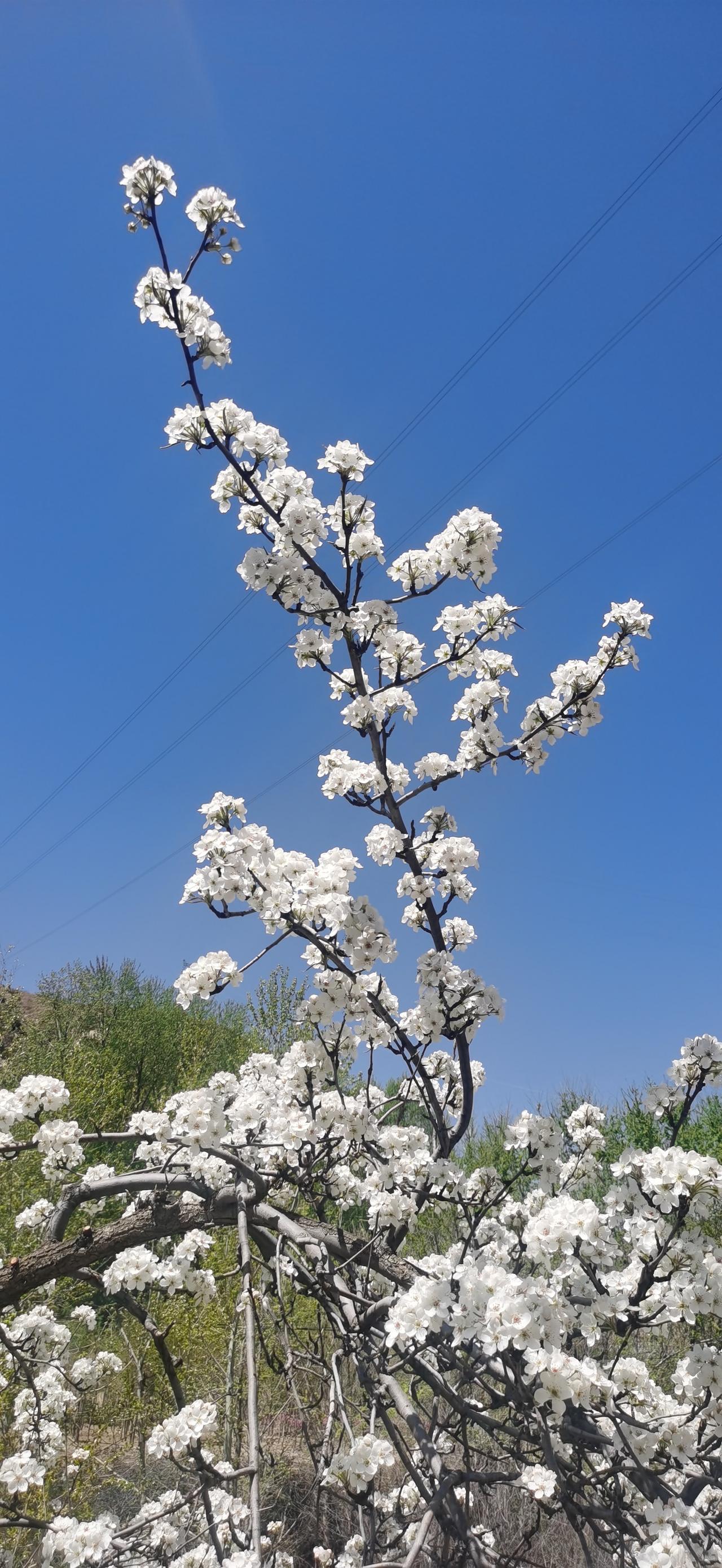 东部战区133号舰艇编队过航横当水道这是我国对前几日，日本舰船横行自由台湾海峡回