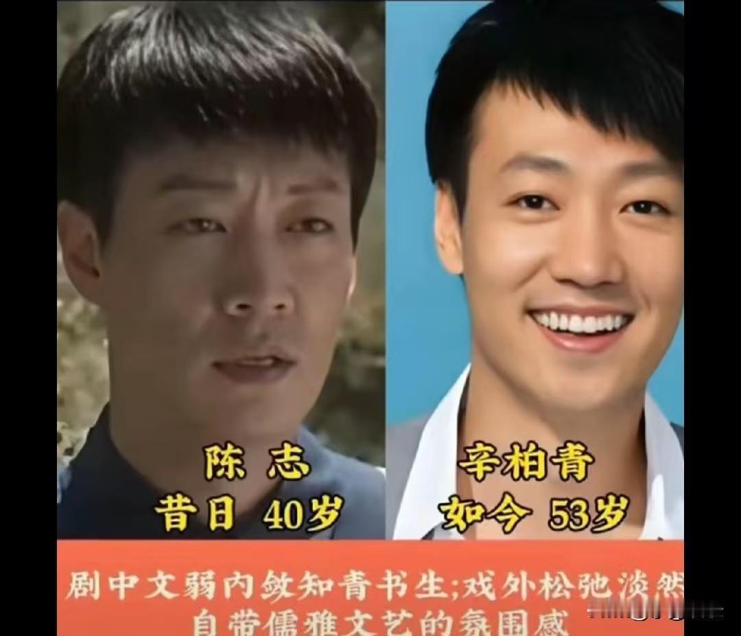 辛柏青、曾黎、冯远征、王馥荔、许娣、杨新鸣，《我的父亲母亲》演员今昔对比，戏里质