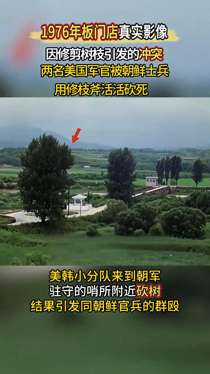 1976年板门店真实影像。
因修剪树技引发的冲突，两名美国军官被朝鲜士兵用修枝斧