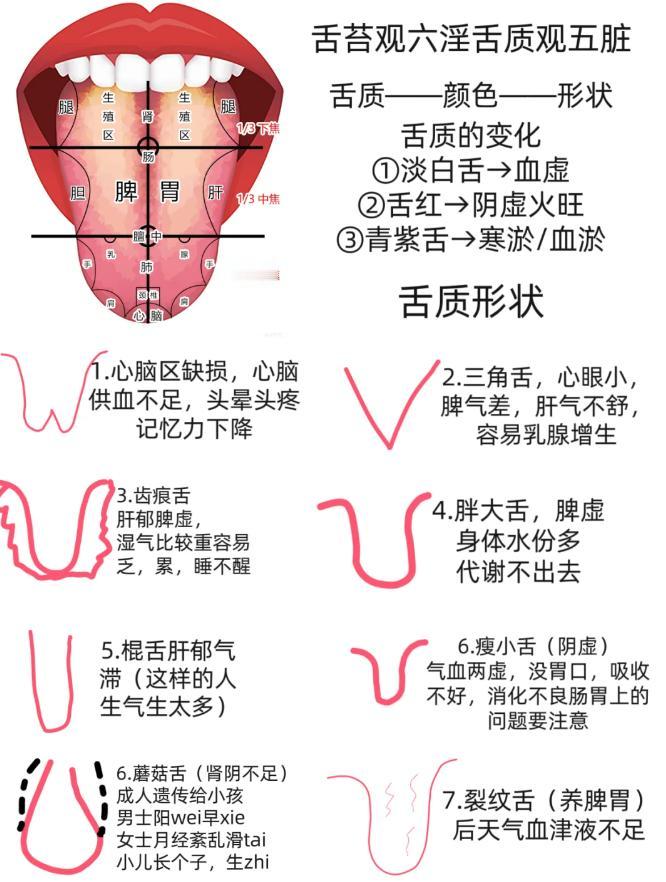舌苔观六淫、舌质观五脏！中医教你怎么辨别！

舌质的变化：
①淡白舌→血虚
②舌