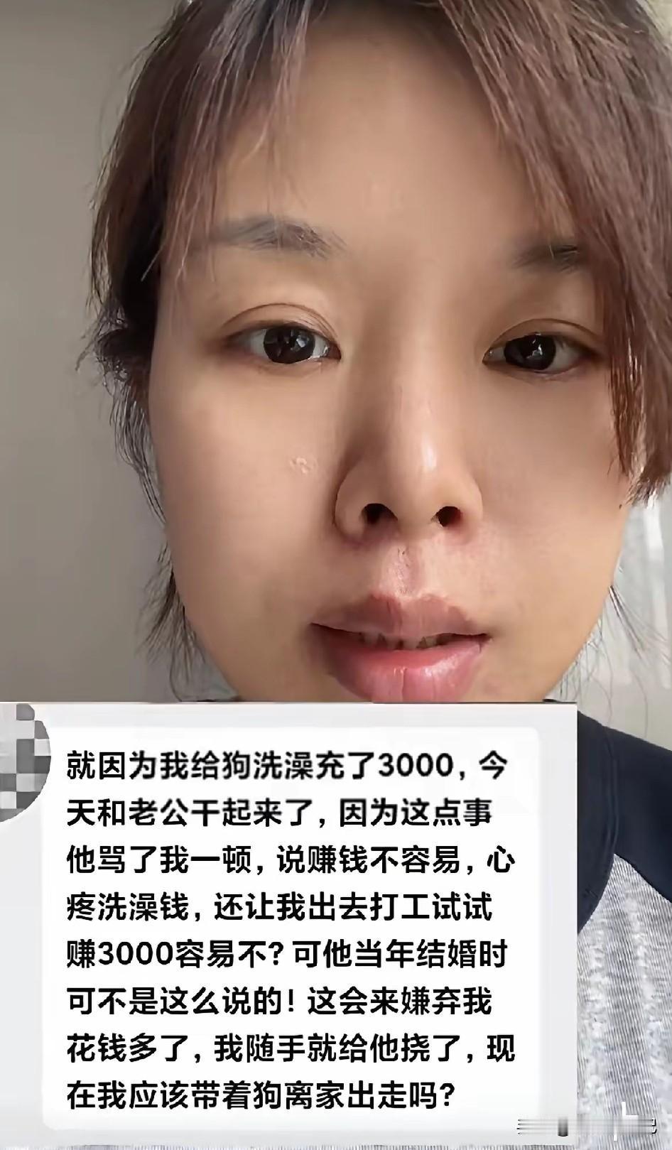 女子花3000块给狗洗了一个澡，回到家被老公大骂败家，她在网上发了一个视频，说老