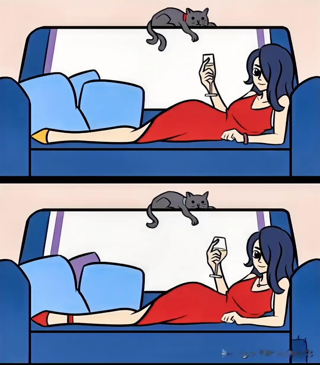 猫儿坐沙发，女子醉卧
找不同10处找找看[灵光一闪]
