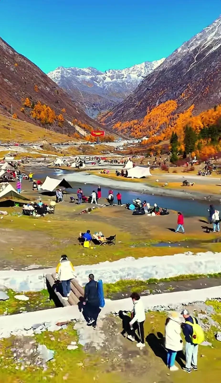 半山彩林半山雪就在川西“王炸”理小路。错过了只能等来年了…#川西秋🍂景# #秋