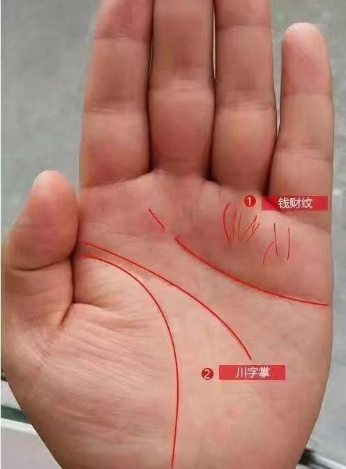 女性的掌纹大部分都是比较杂乱的，很少见到掌纹非常清晰的手掌。女性的掌纹乱是开朗，