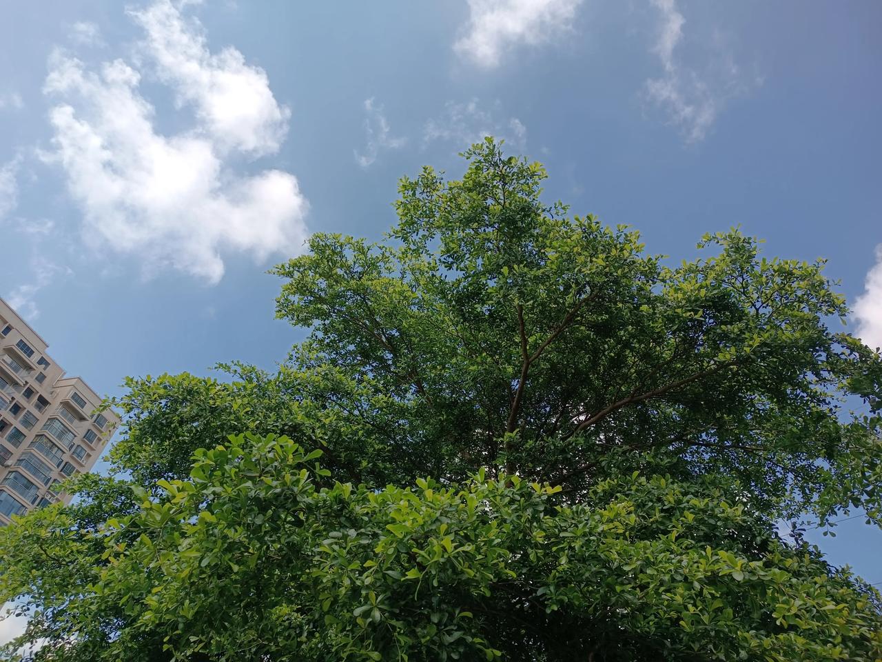 星期四上午
天气晴朗
阳光明媚
忙忙碌碌的
洗洗刷刷
又来煮饭了
上午好
[比心