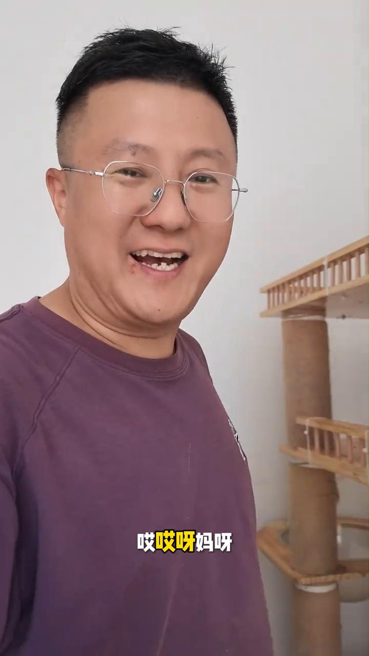 猫爬架。
太搞笑了，你们看我家这猫的姿势，趴在猫爬架上，它还把手从地伸出来，把爪